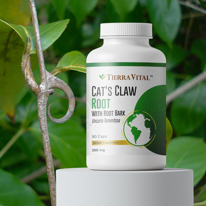 Cat's Claw Root and Root Bark Capsules, 90 caps